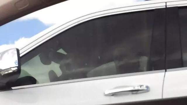 Chica adolescente no puede resistir la polla dura de su bfs para chupar vídeos fakings y lamer