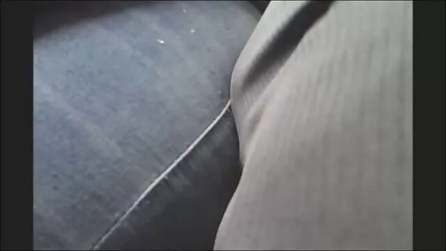 Perrito videos de fake taxi